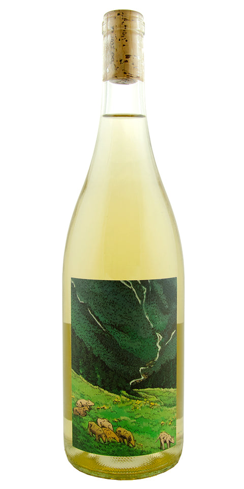Kelley Fox Willamette Valley Gruner Vetliner