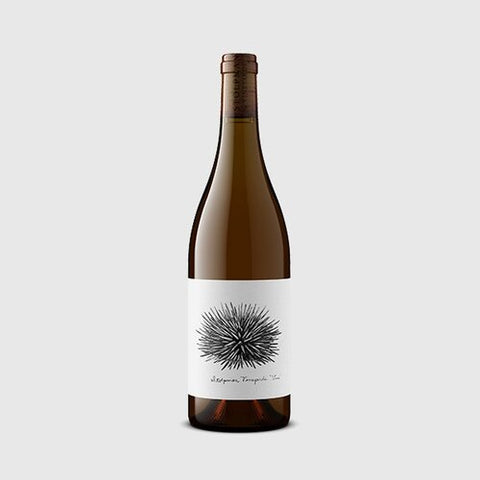 Uni Stolpman Vineyards 21