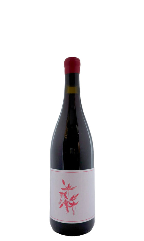 Arnot Roberts El Dorado Gamay Noir 2023
